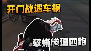 第五人格：大帅观战！开门战遇车祸，孽蜥惨遭四跑