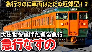 【迷列車で行こう】 #203 ただの近郊車両なのに急行料金を取る列車！？新幹線化された遜色急行「なすの」