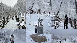 ❄️태백산 눈꽃 산행 (2월 폭설경보 내린 다음날/당골코스/ 대중교통 태백산 당일치기)