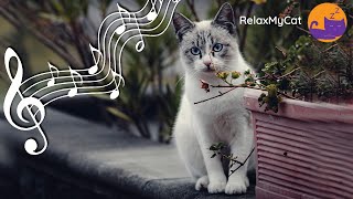 Longest Ever Music For Cats - 22 Hour Soothing Lullaby Mix 🐱