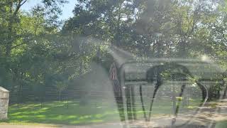 Exploring the Stillwater Subdivision in Montgomery Texas