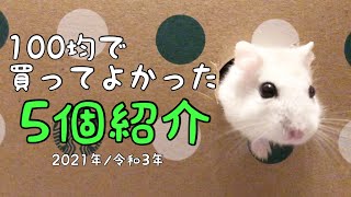 【ハムスター】100均で買ってよかった5選🐹