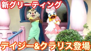 【本日初日‼️立見最前】ミニーの家にデイジーとクラリス登場‼️【ディズニーランド新キャラグリ】