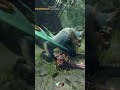 monster hunter rise switch axe is awesome