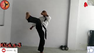 Karate kick tutorial l 5 types of basic kicks l Episode - 16