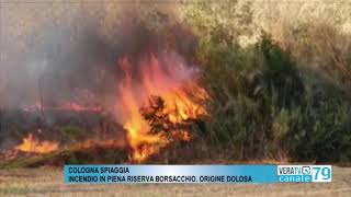 Cologna Spiaggia - Riserva del Borsacchio, tre ettari in fiamme