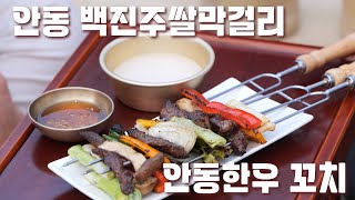 전통이 본고장! 안동에서│테마기행 길 240927 방송