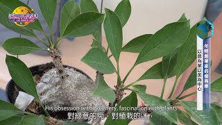 讓世界都看見-東森亞洲新聞台播出「Taiwan orchid\u0026fern 植物選貨」以農為業，以美為中心，植物選貨達人創業的痴與樂！