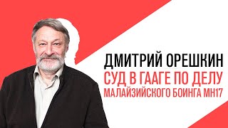 «Крепкий Орешкин 2» Начался суд в Гааге по делу о гибели малайзийского Боинга MH17