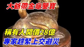 大爺帶「金龜」鑒寶，稱有人開價28億，專家：趕緊上交避災【奇遇天下】 #鑒寶 #考古 #考古發現 #小閆打鐵鐲