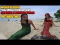 Monster ini telah membuat mermaid ariel dan raina si mermaid merah ketakutan | mermaid in love