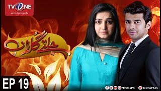 Jaltay Gulab | Episode 19 | TV One Drama | 28th November 2017