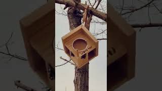 🐦 새 모이통 5 / bird feeder