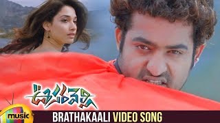 Oosaravelli Telugu Movie Video Songs | Brathakaali Telugu Video Song | Jr NTR | Tamanna | DSP