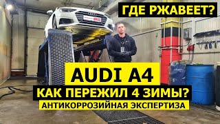 Где ржавеет Audi A4? Обзор авто поколение B9 рестайлинг антикоррозийная экспертиза Krown