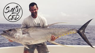 My Personal Record Yellowfin Tuna