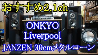 オーディオ　Audio  2.1chは楽しくて奥が深い。多種多様なオーディオ機器が溢れて居ります。2.1chも様々な形態でシステムが組めます。魅力をシリーズ化して配信して行きます。