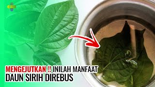 MENGEJUTKAN !! INILAH MANFAAT DAUN SIRIH DIREBUS ll Channel Kesehatan