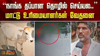 “நாங்க தப்பான தொழில் செய்யல..” மாட்டு உரிமையாளர்கள் வேதனை | cow issue | chennai | triplicane