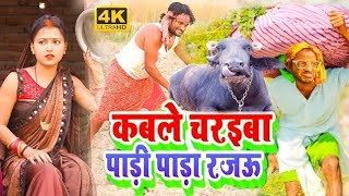 कबले चरइबा पाड़ी पाड़ा रजऊ | Kable Charaiba Padi Pada Rajau | Chirkut Baba | Chirkut Baba Comedy