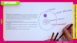 SEGUNDO A TEORIA EVOLUTIVA MAIS ACEITA HOJE, AS MITOCÔNDRIAS, ORGANELAS (...)  EVIDÊNCIAS EVOLUTIVAS