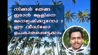 നിങ്ങൾ തേങ്ങ ഇടാൻ ആളിനെ അന്വേഷിക്കുന്നുണ്ടോ ? Coconut Tree Climber