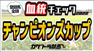 【チャンピオンズカップ2022】昨年的中🎯テーオーケインズだけじゃない！血統的にオモシロい穴馬アリ〼！今秋ＧⅠ7戦4勝！