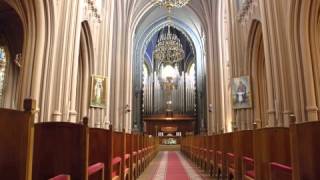 T.Orlova(organ)Ch.M.Widor.Symphonie pour orgue No. 6 op. 42 no. 2.