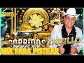 el tigrillo palma de oro🤠🔥 Éxitos de oro para pistear✅ 30 exitos corridos pesados mix new 051