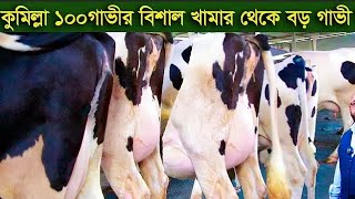 ৬৮ জেলা চ্যালেঞ্জ বকনা নিয়ে। জীবন এর সর্বসেরা কালেকশন। এইরকম বকনা পুরো পাবনা জেলা তে নাই চ্যালেঞ্জ