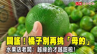 闢謠！橘子別再挑「母的」 水果店老闆：要買越綠的越甜