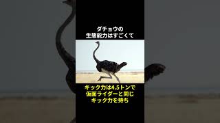 ダチョウに関する面白い雑学　#動物 #動物雑学 #雑学 #short #トリビア #動物トリビア #ダチョウ