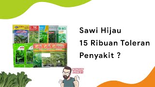 10 Benih Sawi Hijau Dataran Rendah Terbaik !! 15 Ribuan Toleran Penyakit