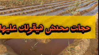 مصاريف البير محدش هيقولك عليها