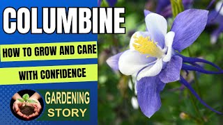 Growing Columbine with Confidence: How to Grow and Care for Columbine