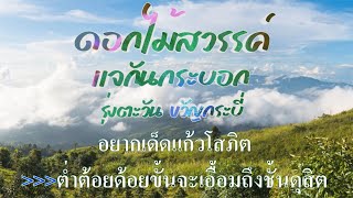 ♬ดอกไม้สวรรค์แจกันกระบอก รุ่งตะวัน ขวัญกระบี่ #karaoke #คาราโอเกะ