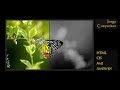 Image Comparison Slider Using HTML CSS and JavaScript | Image Comparison | ProgrammingTT