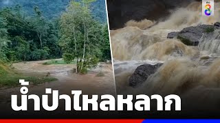 น้ำป่าไหลหลาก หลังฝนตกหนักบนเทือกเขาบรรทัด | ข่าวช่อง8