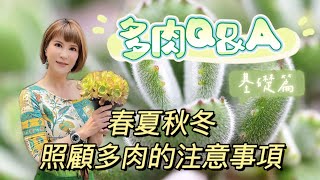 常見多肉問題Ｑ＆Ａ，春夏秋冬照顧多肉的注意事項（基礎篇）［翡歐娜視記］ep.63#微笑多肉園藝#網購多肉收到如何處理#土的選擇#施肥及殺蟲劑