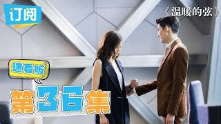 《温暖的弦速看版》第36集：管惕中计终吃亏，温暖暗中相助南弦【观达影视官方频道】