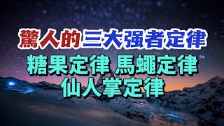 驚人的三大強者定律，幫你厘清高手的思維方式和做事方法，實現人生躍遷