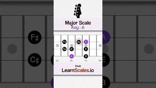 Learn Bass Scales for Beginners - A Major scale 🎸