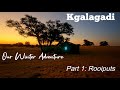 Kgalagadi Winter Adventure: Part 1 - Rooiputs