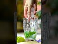 borage mojito edible flower cocktail recipe