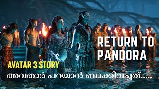 ആരാണ് സ്‌പൈഡറിന്റെ അമ്മ? കിരിയുടെ സവിശേഷതകൾ | അവതാർ 3ൽ കാണാൻ സാധ്യതയുള്ള സ്റ്റോറി ലൈനുകൾ | Cinelens