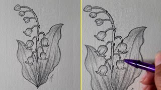 How to draw Lily of the Valley -Pencil Sketch/ Sinoun Drawing