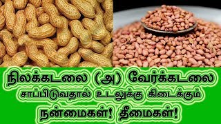 டாக்டர்களின் எதிரி நிலக்கடலை சர்க்கரையைக் கொல்லும் | வேர்கடலை பயன்கள் Peanut Benefits In Tamil