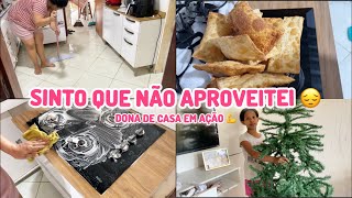 CUIDE DA CASA COMIGO 💪LIMPEZA E ORGANIZAÇÃO DO LAR | ADEUS DECORAÇÃO DE NATAL| RECEBIDOS SHEINHOME