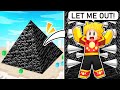 They Trapped Me In A BEDROCK PYRAMID... (Roblox Bedwars)