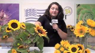 June 2013 Wholesale Flower Showcase: Sunflowers